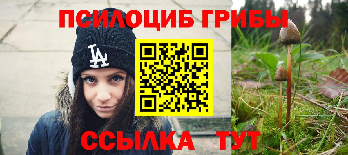 Грозный  купить  сайты  Вход с VPN  Галлюциногенные грибы Psilocybine cubensis 